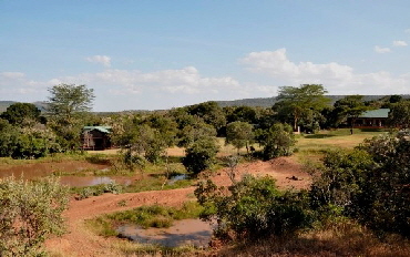 512_Acacia_and_Mara_House