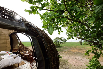 Chisa Busanga- Kafue sambia 