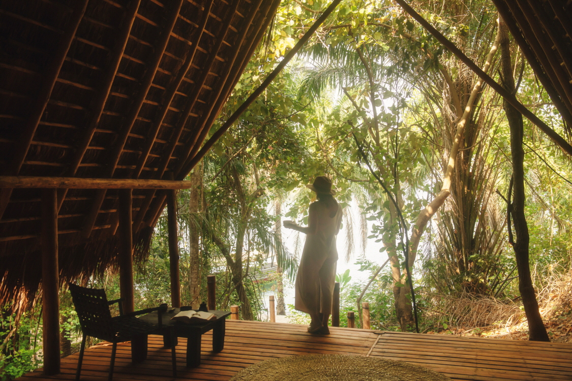 Schimpansen Safari Mahale 