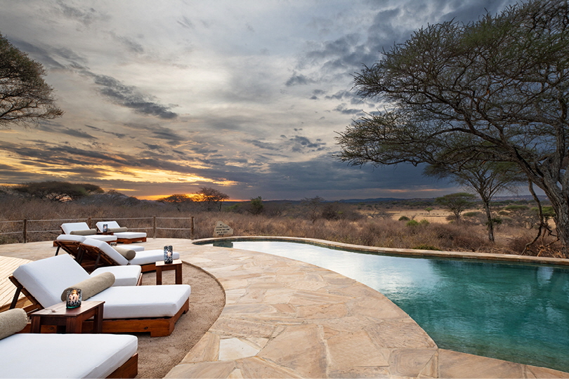 Olivers Camp Tarangire Safari