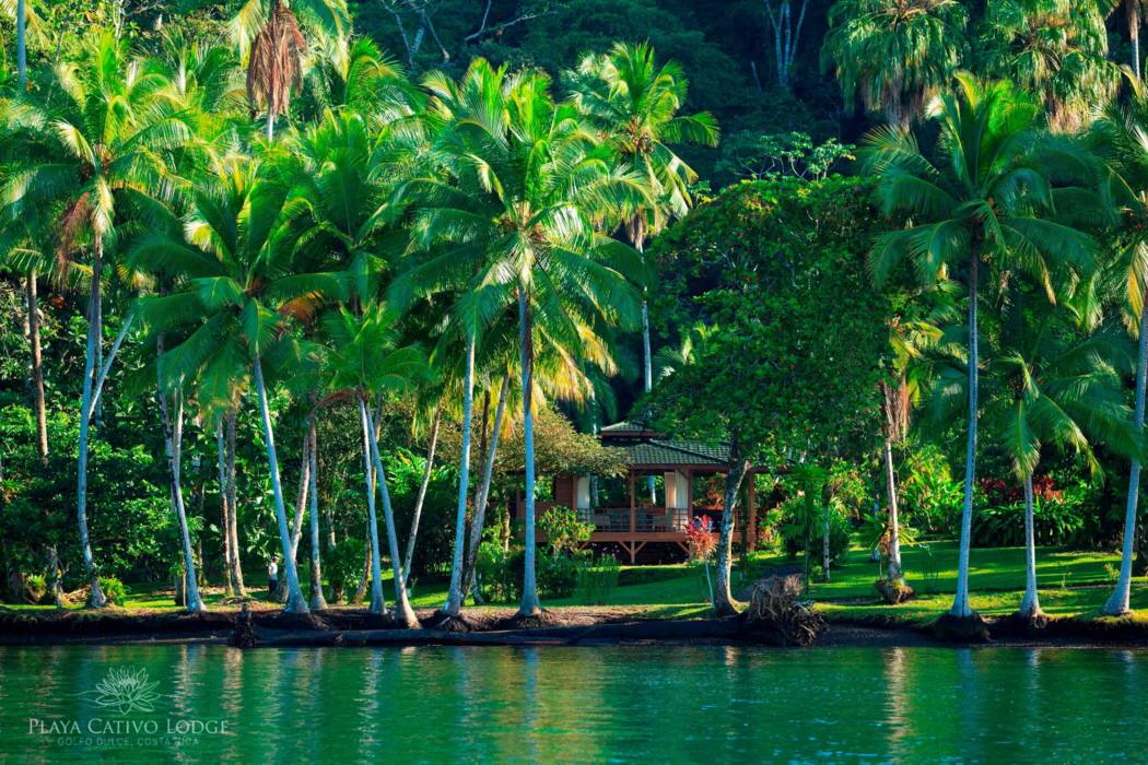 Playa Cativo Golfo Dulce