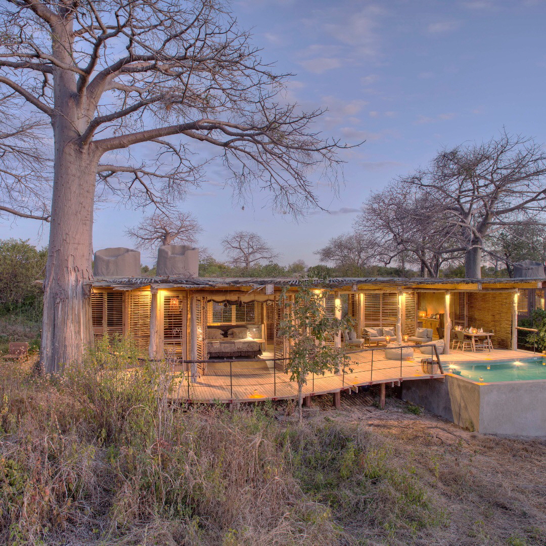 Nyerere Nationalpark  Jabali Ridge Safaricamp