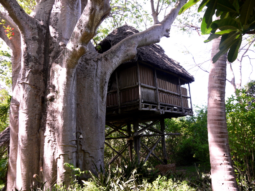 Chole Mjini Baumhaus