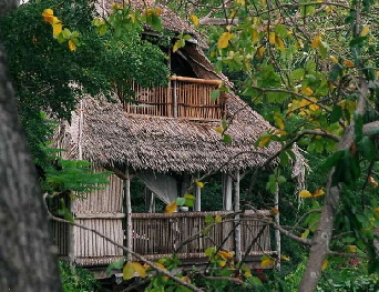 Insel Mafia Chole Mjini