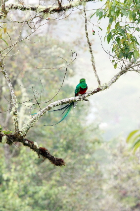 costa-rica-suntours-Costa RIca REISEN costa-rica-suntours-Costa RIca REISEN