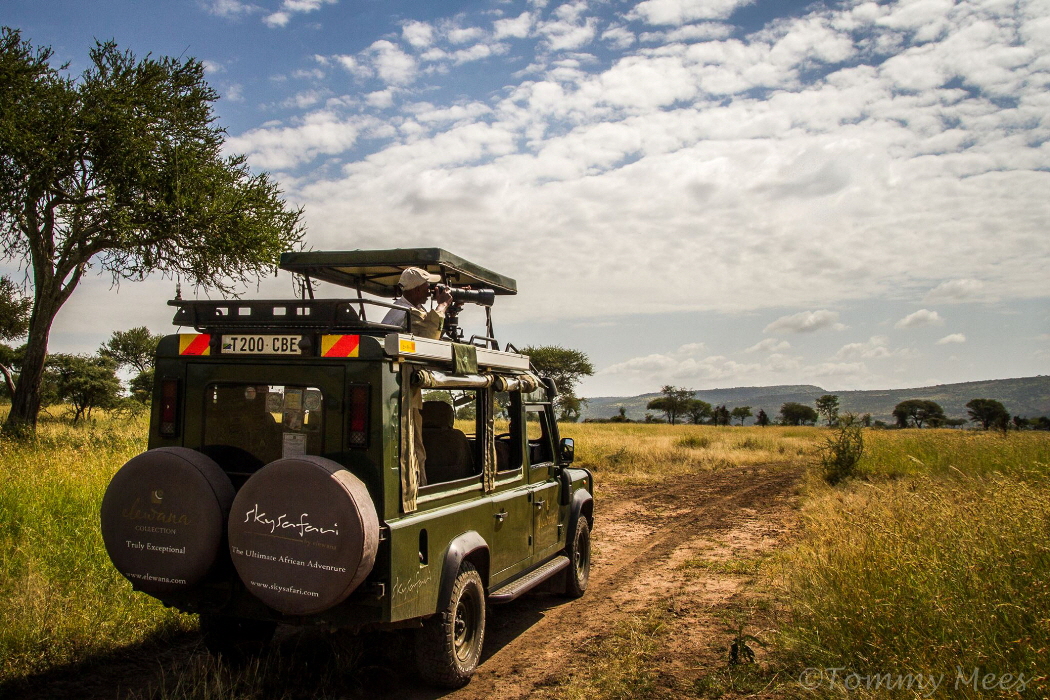 Fahrzeug  Elewana in Lewa 