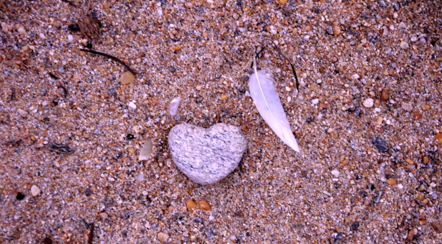 Mahale Greystoke Camp