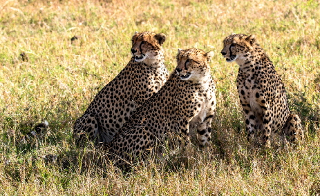 gruppenreisen-kenia_0018