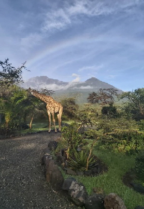 hatarilodge-Tansania-buchen