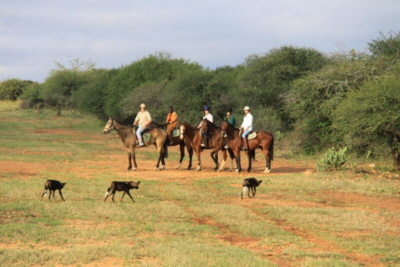 Reitsafari Kenia 