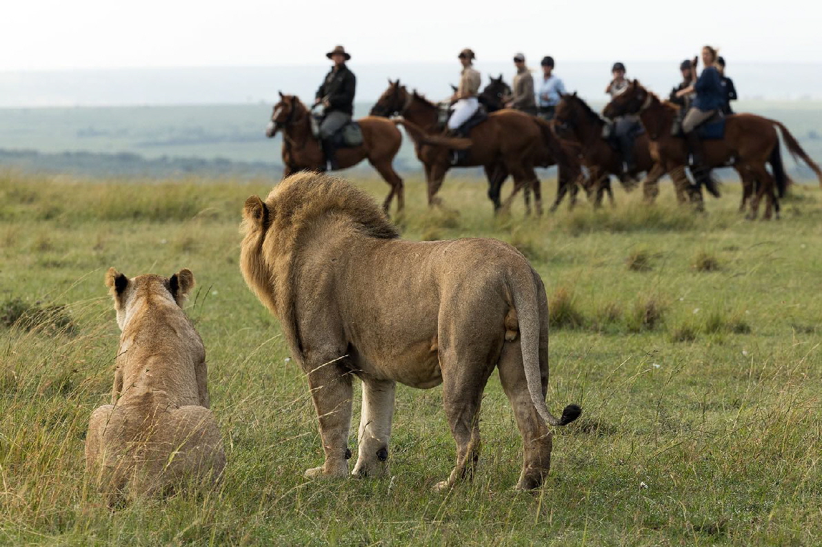 Reitsafari Kenia Hochland