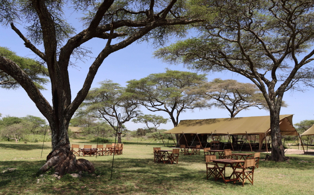 Migration Camp Serengeti Tansania