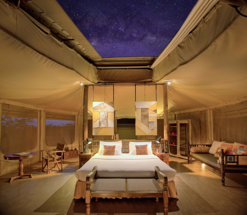 Leopard Hill Starbed