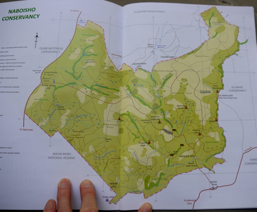 Encounter Mara Camp   Naboisho Schutzgebiet