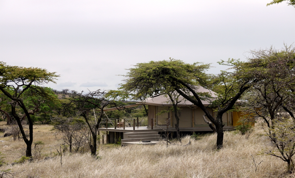 Leopard-Hill-Masai-Mara-Naboisho Schutzgebiet