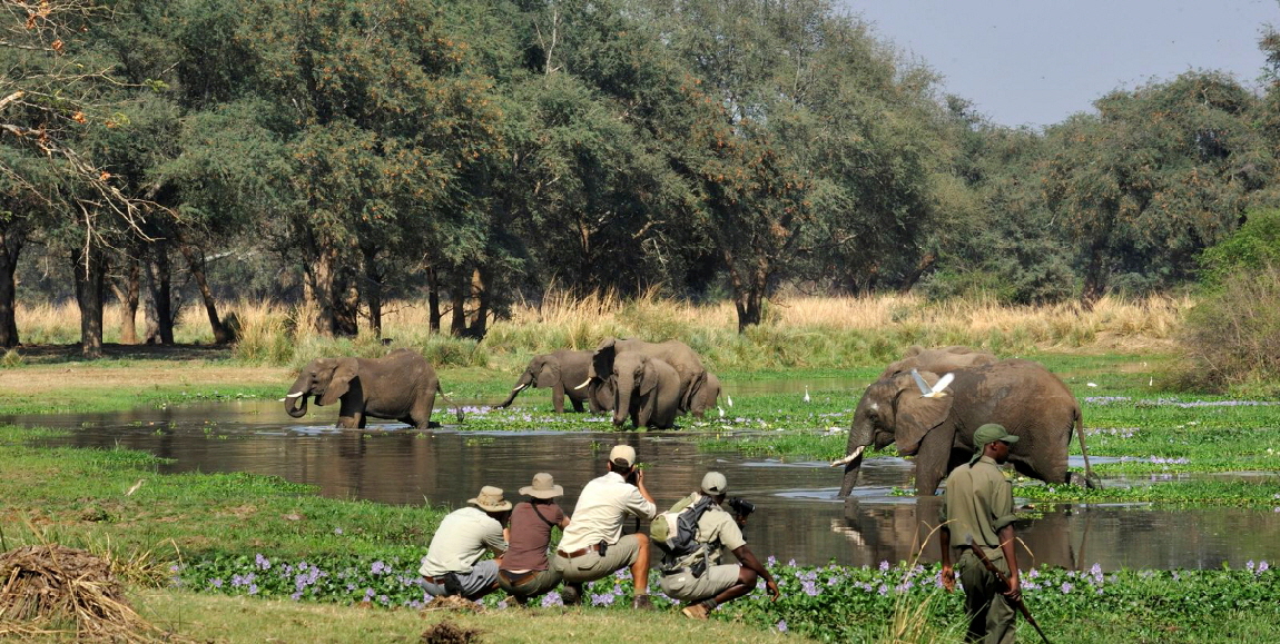 Old Mondoro Lower Zambezi