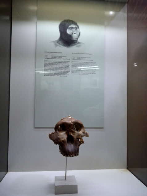 oldupai-klein_0014 oldupai-klein_0014