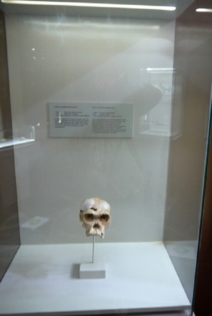 oldupai-klein_0015 oldupai-klein_0015