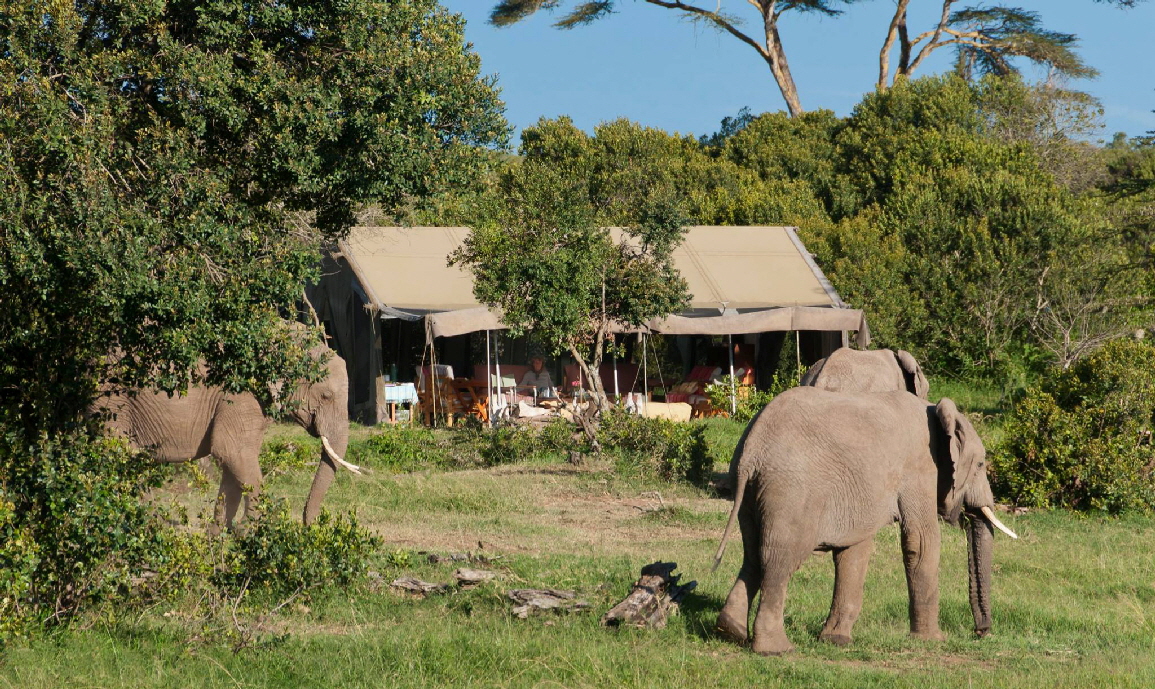 Ol Pejeta Bush Camp  Kenia 