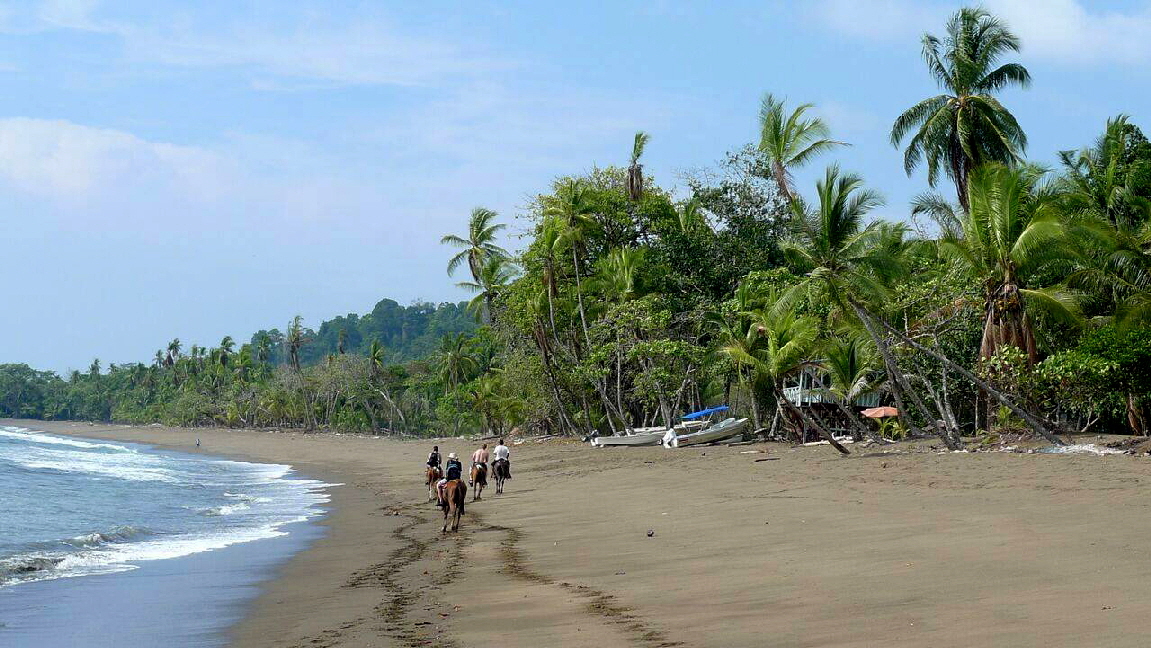 Ausritt  Copa de Arbol Drake bay
