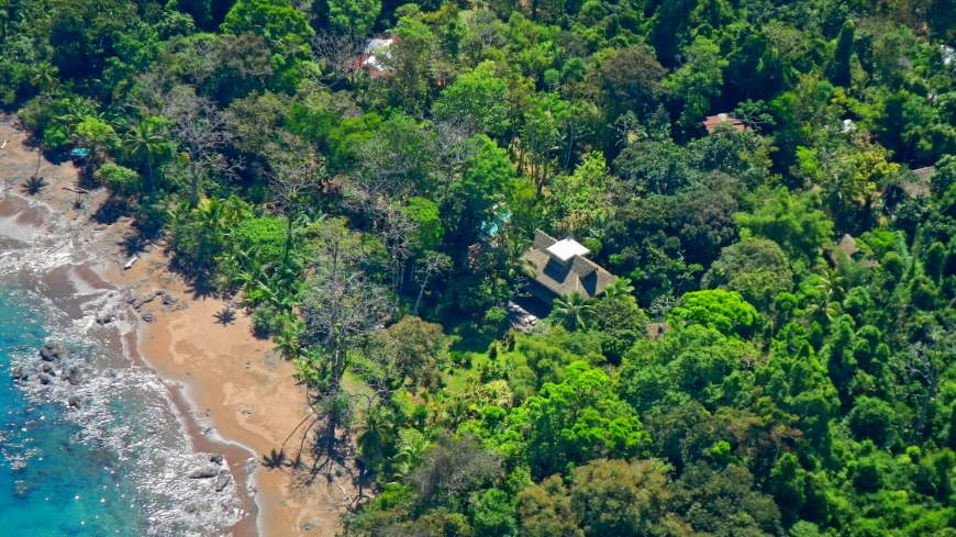 Copa de Arbol Drake bay Corcovado Nationalpark