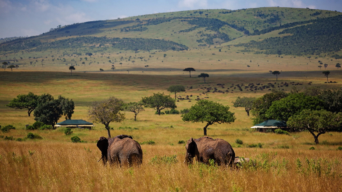 Sandriver Masai Mara Kenia 