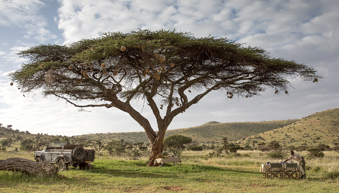 Buschfr�hst�ck in Lewa 