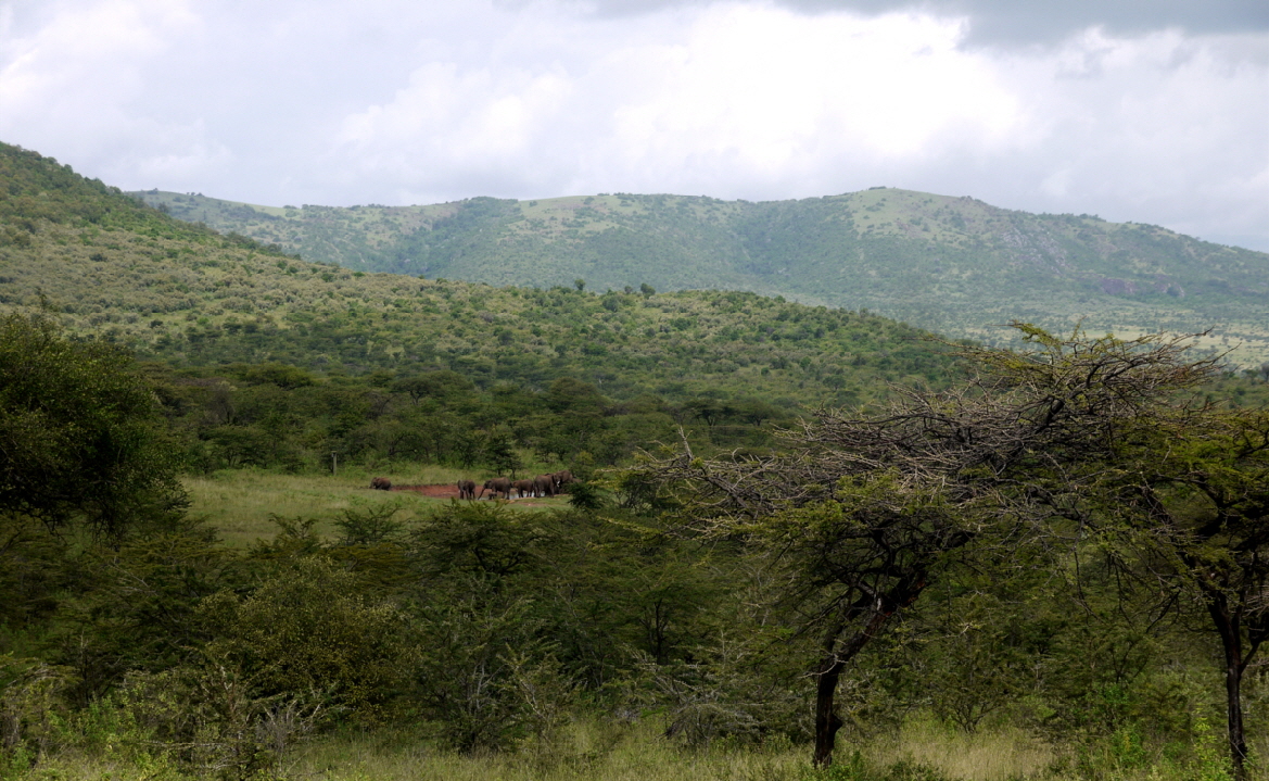 Blick aufs Wasserloch