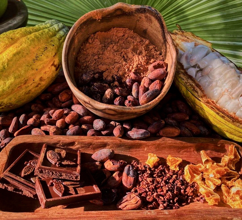 Schokolade gemacht in Tiskita 