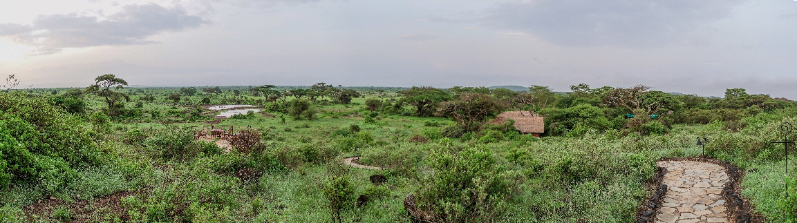tortilis-panorama-amboseli-Kenia