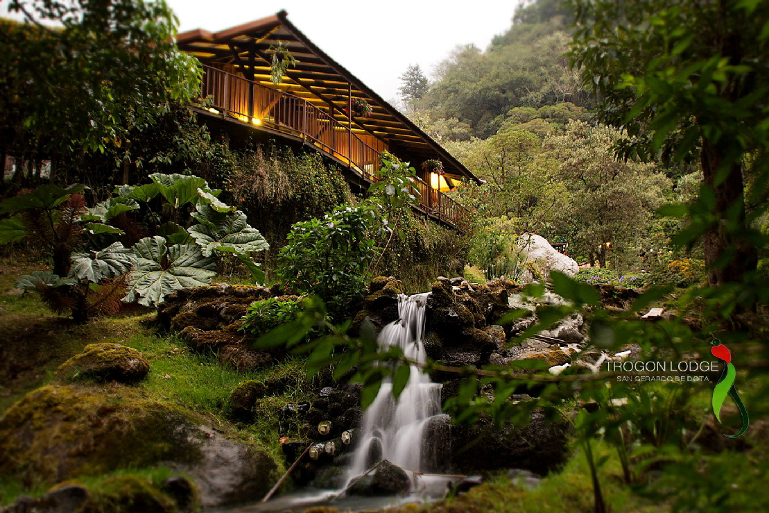 Trogon Lodge  San Gerado de Dota