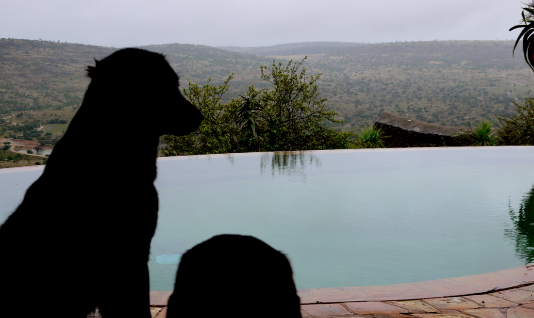 ol-malo-kenia-safari